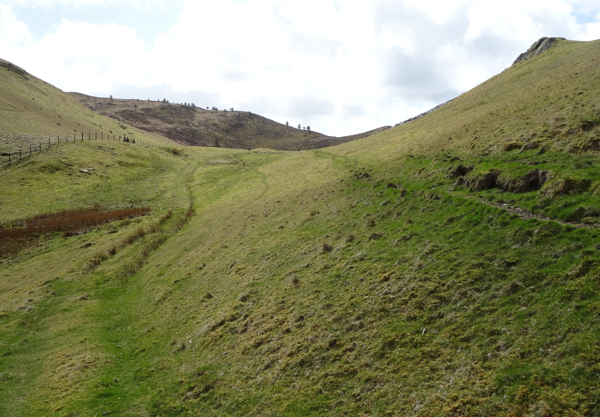 RachelSeabrook.net | Wild Walking | Ponterwyd and Pen Dihewyd | pic16
